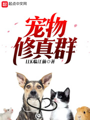 ��������Ⱥ