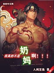 ����Ĳ������谡