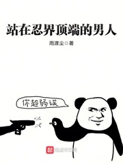 վ���̽綥�˵�����