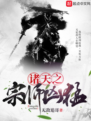 ����֮��ʦ����