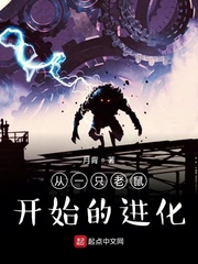 ��һֻ����ʼ�Ľ���