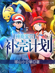 ���汦������ƻ�