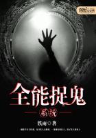 ȫ��׽��ϵͳ