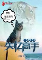 ���߹�����ʧ�����