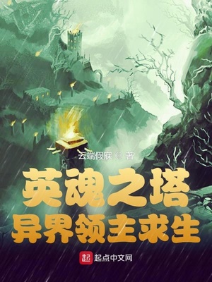 Ӣ�������������������