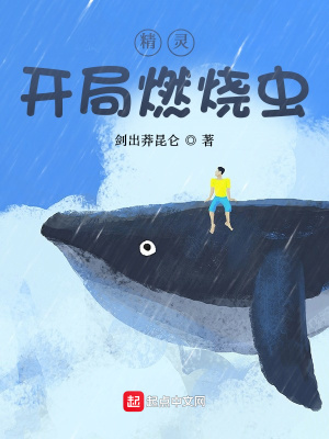 ���飺����ȼ�ճ�