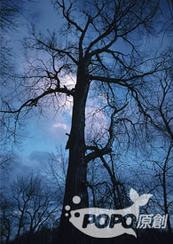 ��Խ�۲����ռ�