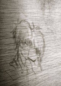 ���ڵ���������