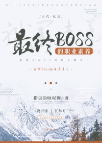 ����BOSS��ְҵ����