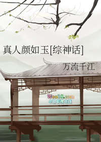 ����������[����]