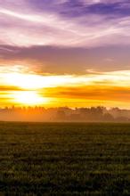 ������Ұ�ķ��ļ�