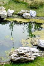 ������ļ�