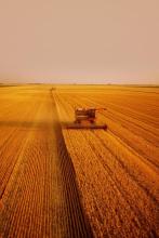 �¾����ļ�