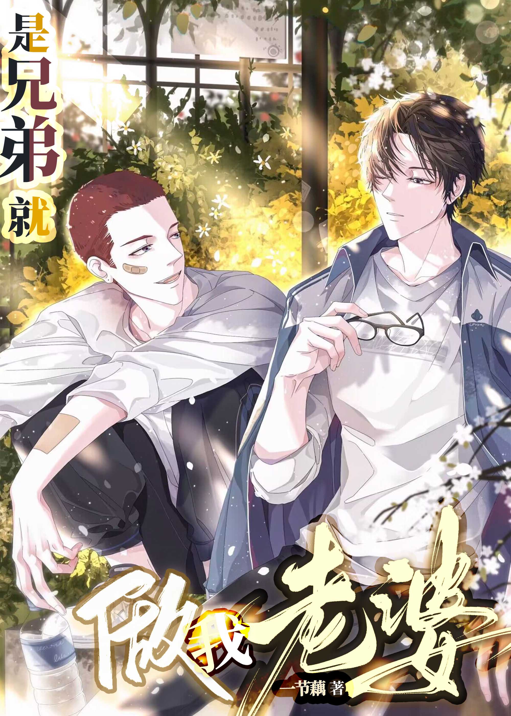 ���ֵܾ��������ţ�