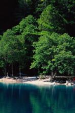 �����ļ�