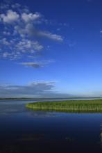 ������ѩ�ļ�