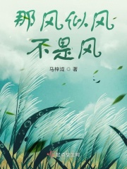 �Ƿ��Ʒ粻�Ƿ�