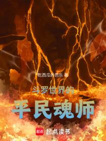 ���������ƽ���ʦ