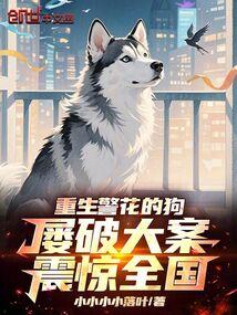 ���������Ĺ������ƴ���ȫ��