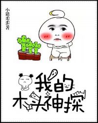 �ҵ�ľͷ��̽