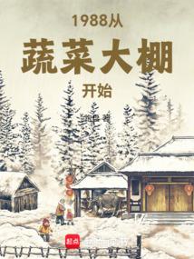 1988���߲˴��￪ʼ