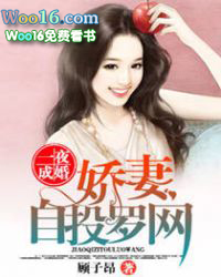 һҹ�ɻ飬������Ͷ����