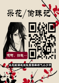 �ɻ�/͵��ǣ�˫��/¶��񱣩