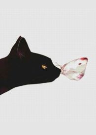 ���g�Õr�� (1v1H)