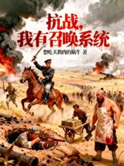 ��ս�������ٻ�ϵͳ