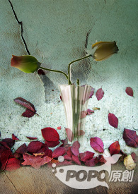 ����֮�����