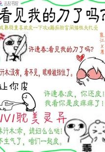 �����ҵĵ�����