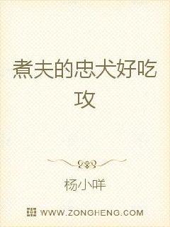 �������ȷͶι������Ʊ