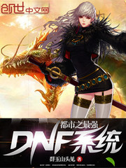 ����֮��ǿDNFϵͳ