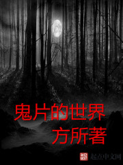 ��Ƭ������