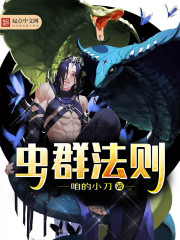 ��Ⱥ����