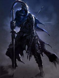 ��ϵ����