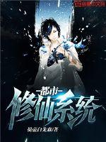 ��������ϵͳ