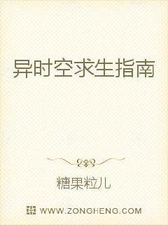 ��ʱ������ָ��