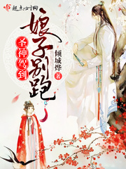 ʥ��ݵ������ӱ���