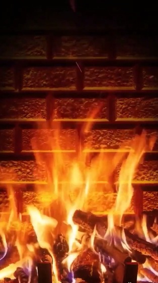 ����ս��