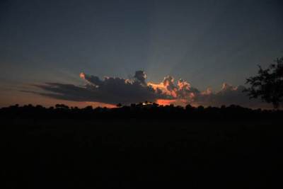 ������ҹ