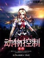 �������ϵͳ