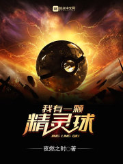 ����һ�ž�����