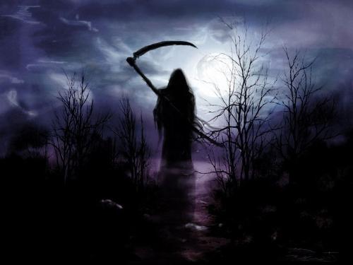 ����֮ȼ���