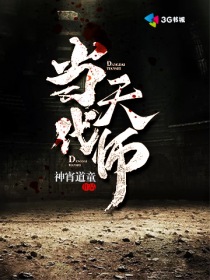 ������ʦ