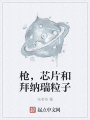 ǹоƬ�Ͱ���������